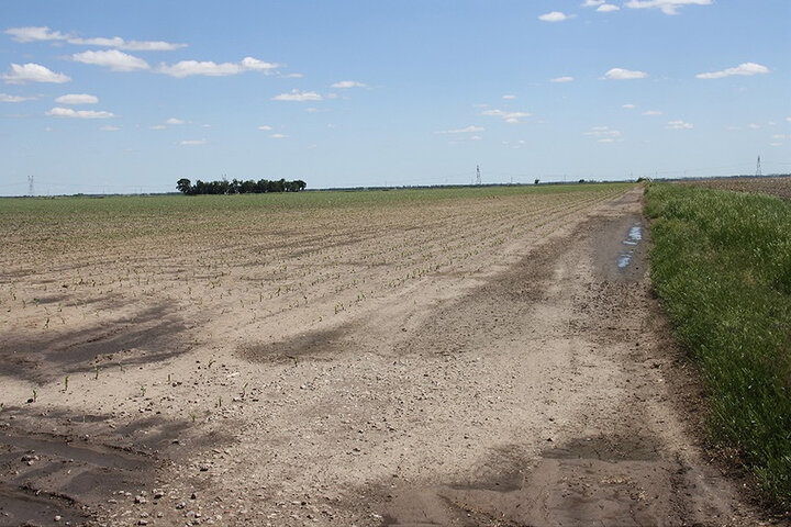 Tractor in field planting