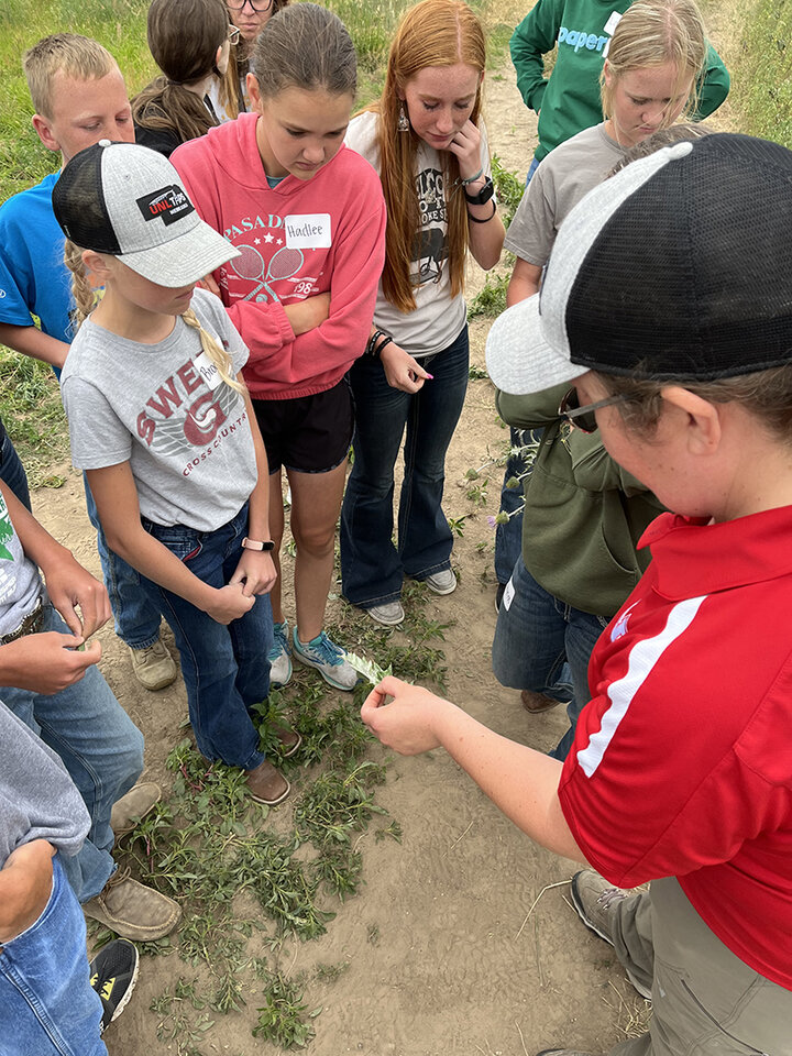 Youth look at a plant sample in woman's hand