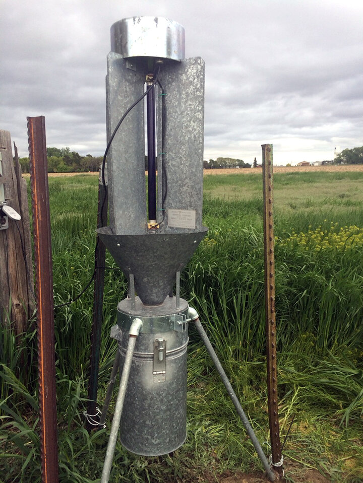 light trap next to wheat field