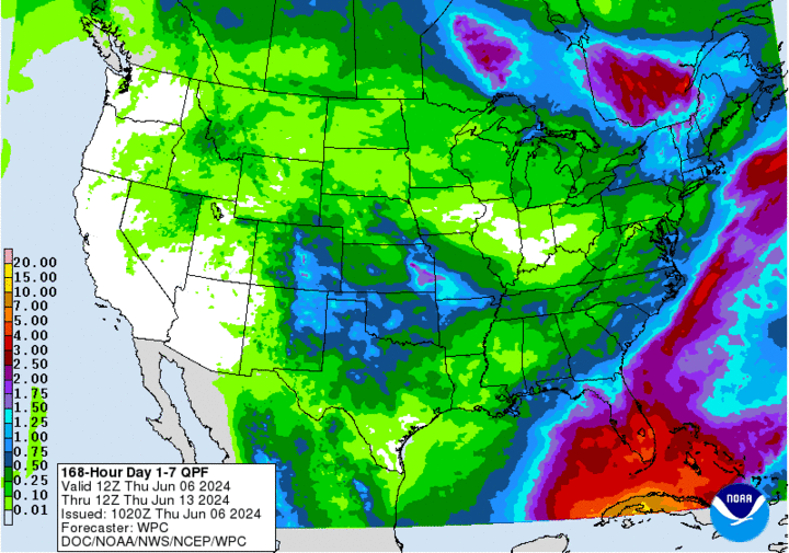 WPC projected precipitation map