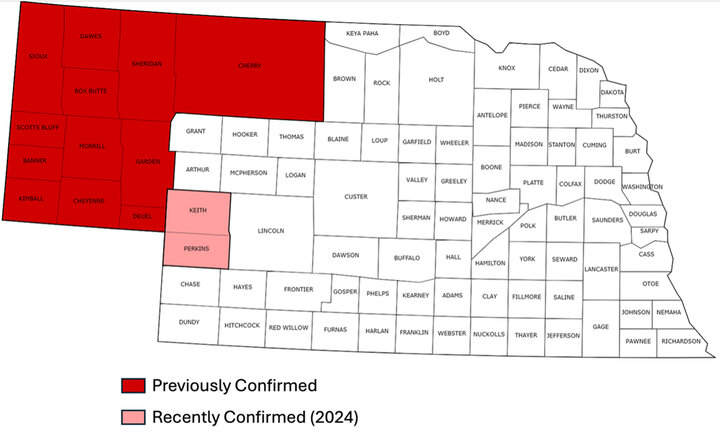 Nebraska map with highlighted sawfly-infested counties