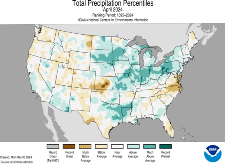 Precipitation percentiles map