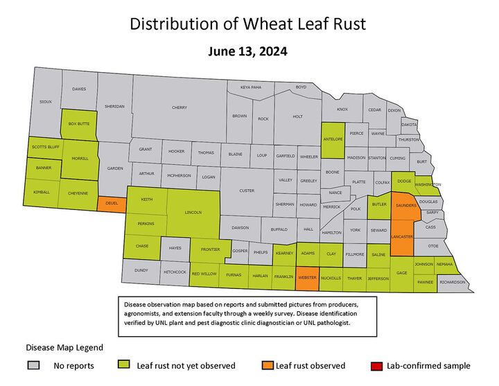 Leaf rust county map