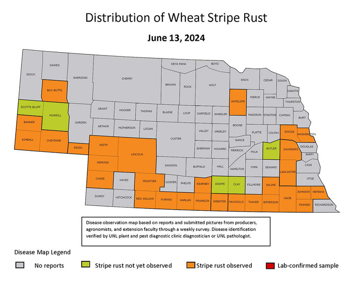 Stripe rust county map