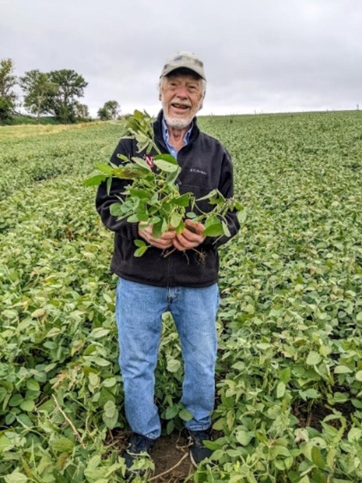 Man holding soybean plants while standing in field