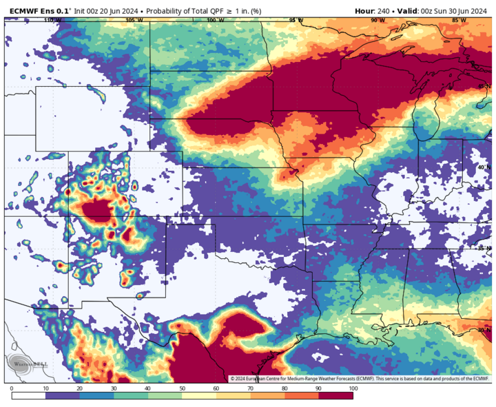 Projected precipitation June 29 map