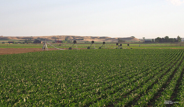 Damaged center pivot in field