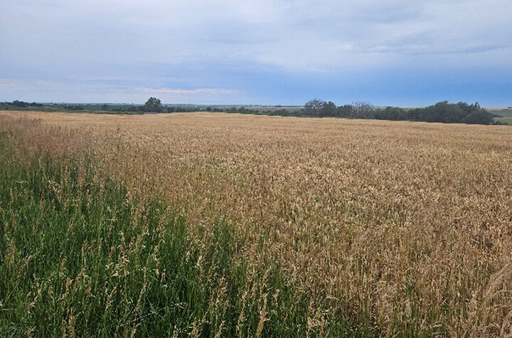 Damaged center pivot in field