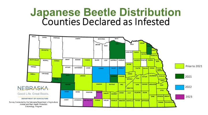 Distribution of Japanese beetles in Nebraska