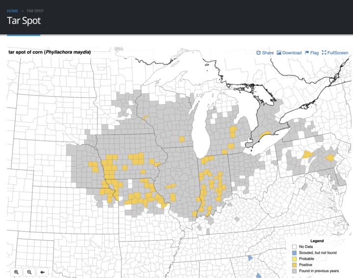 Tar spot 2024 map