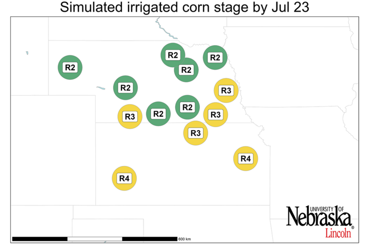 Graph of Simulated developmental stage for irrigated and rainfed corn at each location