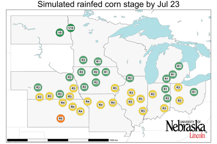 Graph of Simulated developmental stage for irrigated and rainfed corn at each location