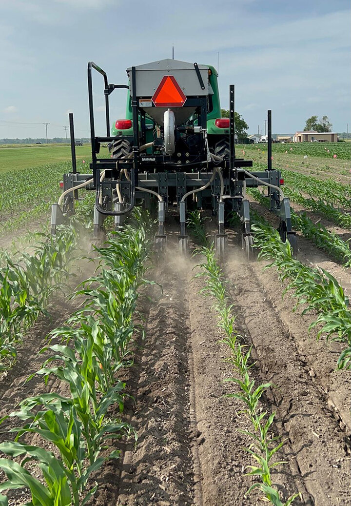 Tractor driving through corn rows