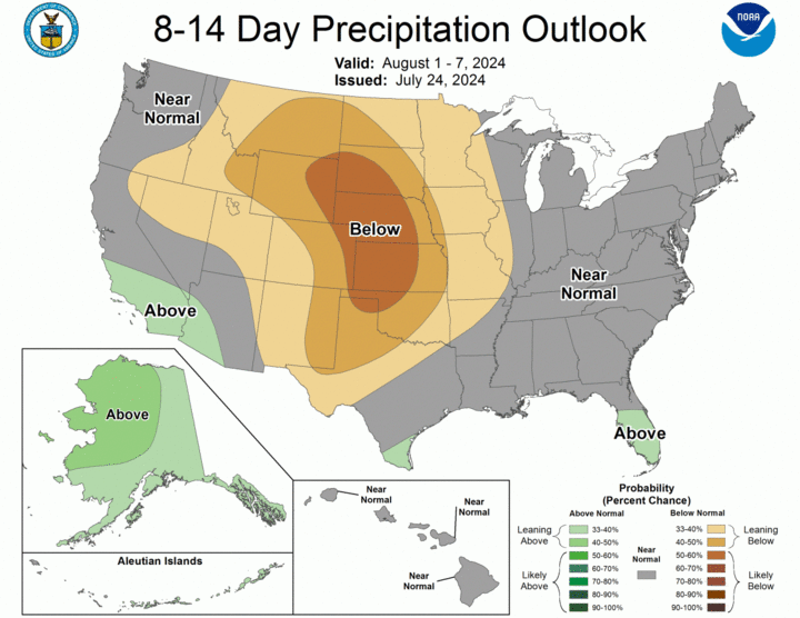 8-14 day precipitation outlook map