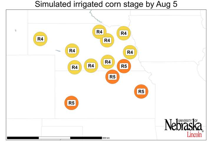 Graph of Simulated developmental stage for irrigated and rainfed corn