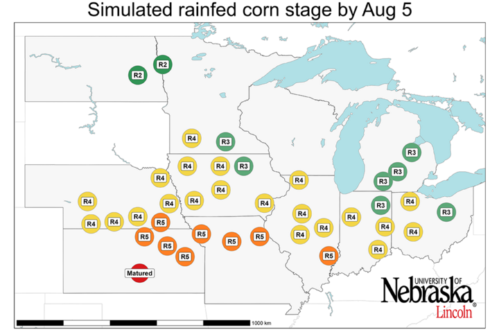 Graph of Simulated developmental stage for irrigated and rainfed corn