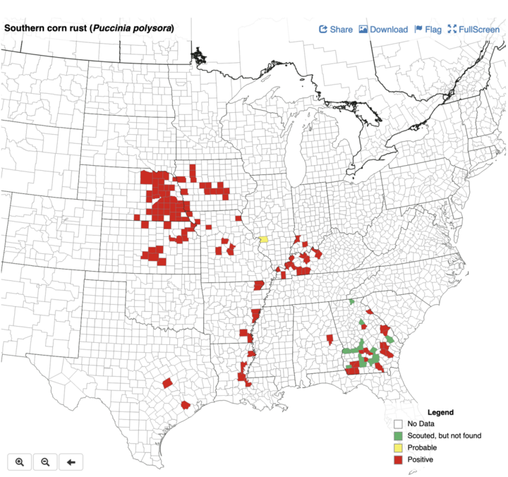 Southern corn rust county map