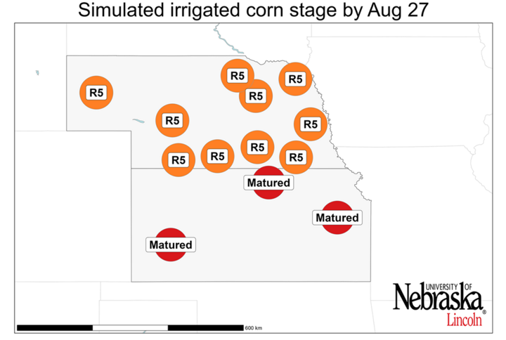 Graph of Simulated developmental stage for irrigated and rainfed corn