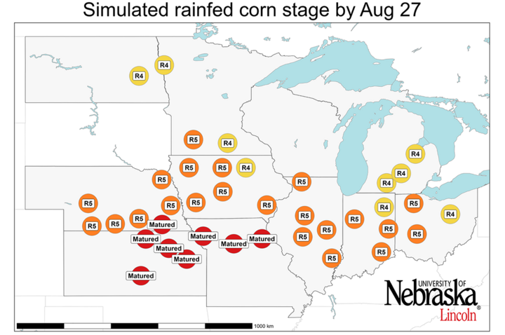 Graph of Simulated developmental stage for irrigated and rainfed corn
