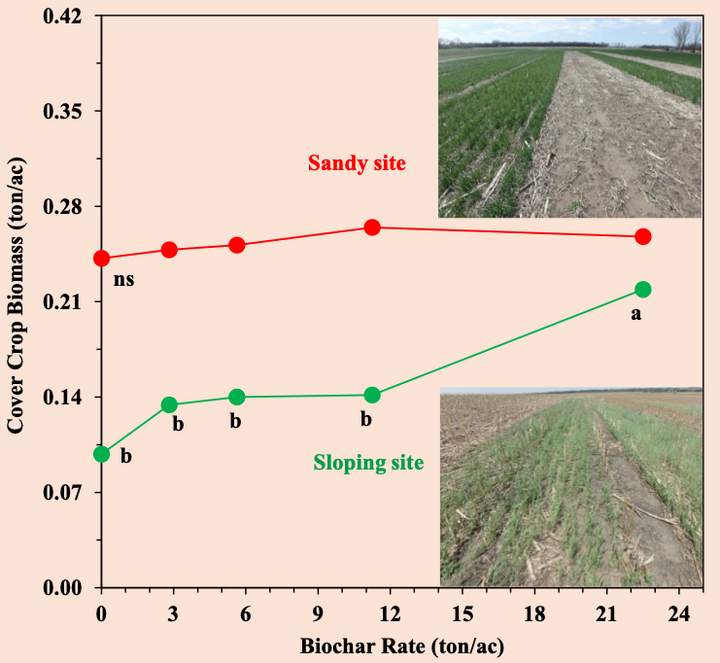 Cover crop biomass graph