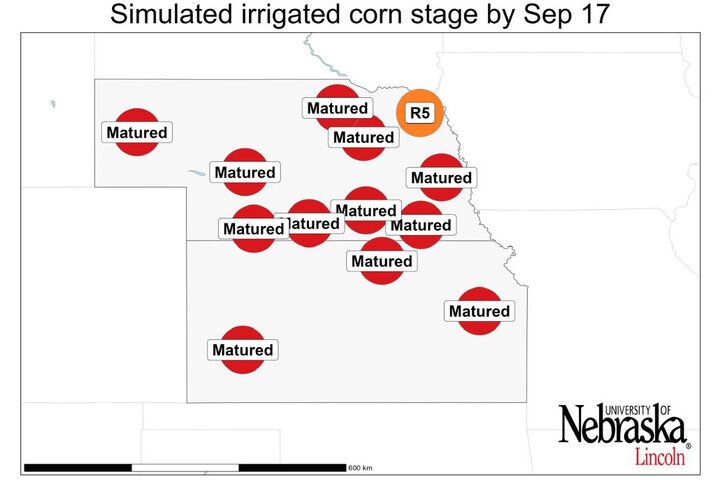 Graph of Simulated developmental stage for irrigated and rainfed corn