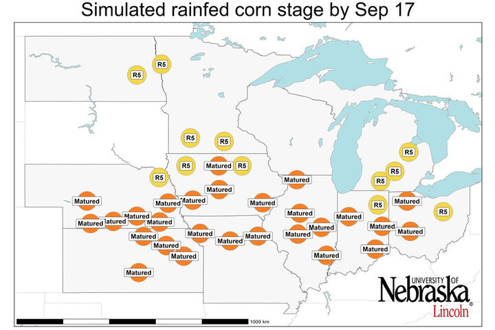 Graph of Simulated developmental stage for irrigated and rainfed corn