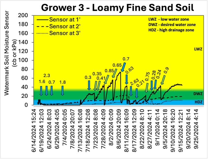 Grower 3 Loamy Fine Sand Soil chart