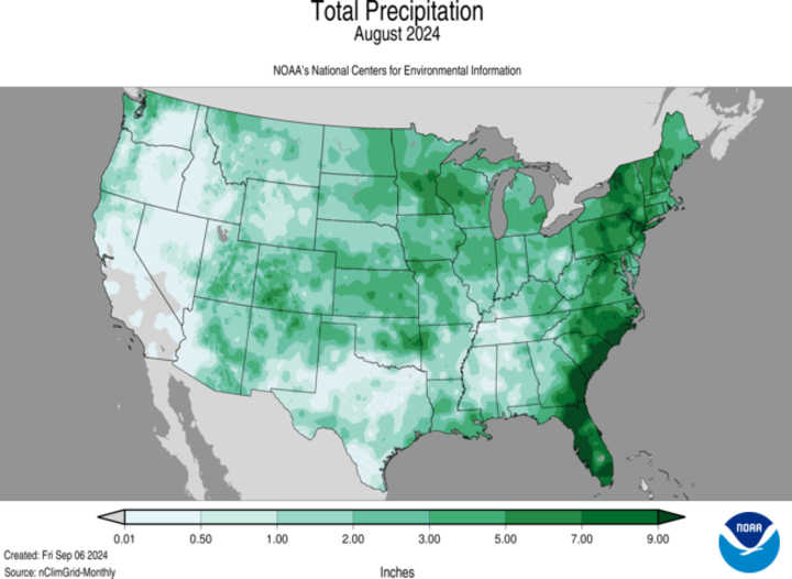 Total precipitation for August 2024map