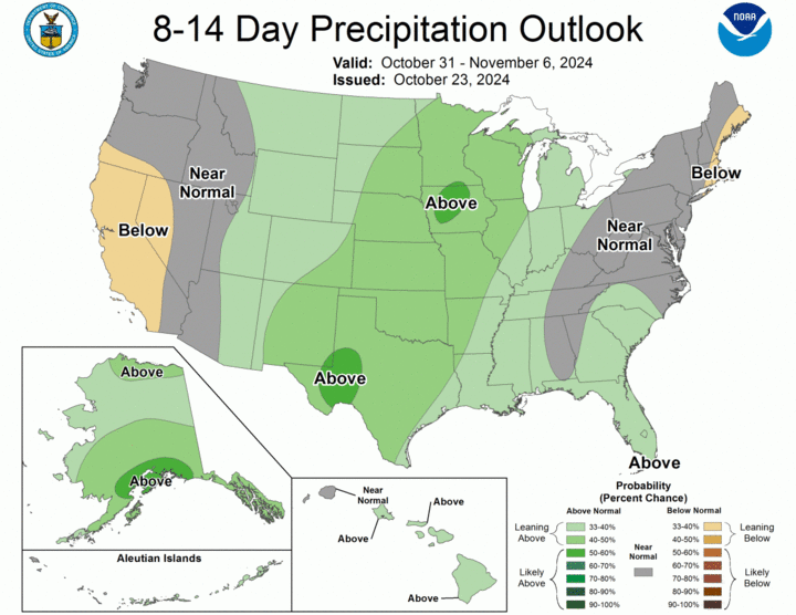 8-14 day precip outlook map