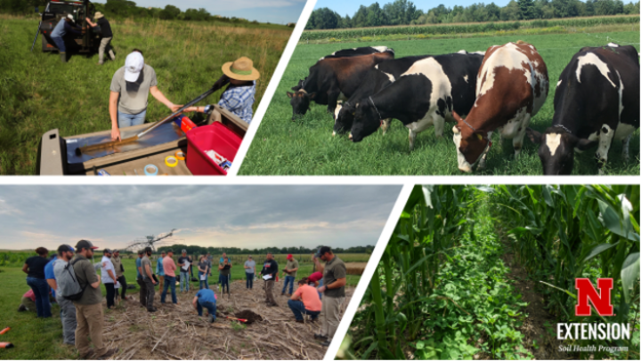 Photo collage of agricultural images