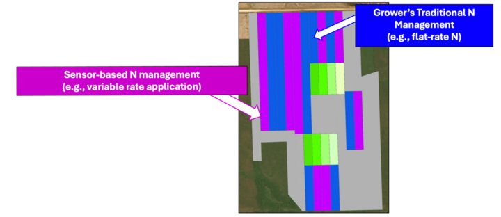 Plot layout graphic