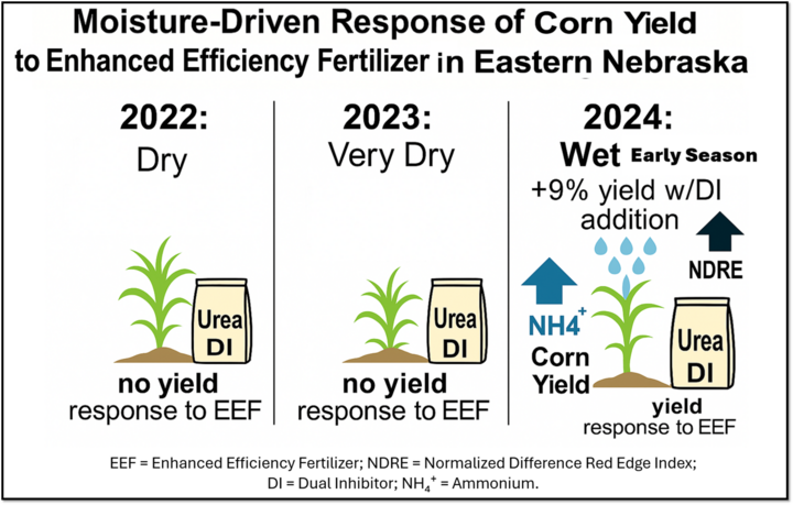 graphc of corn growth over three years of study