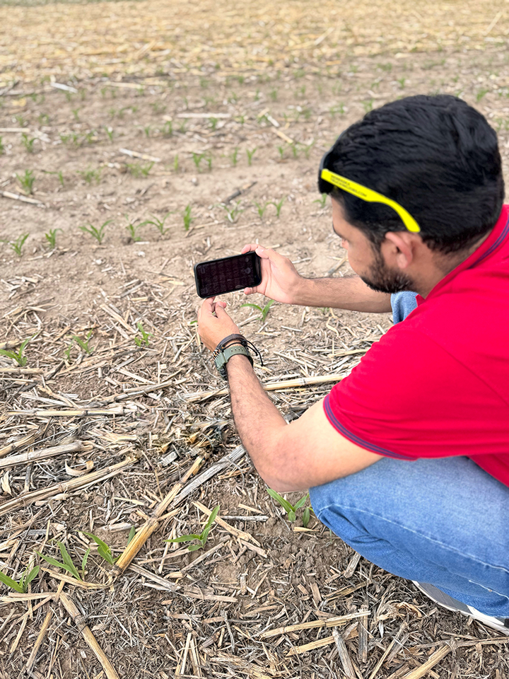 man holding cell phone to read field measurements