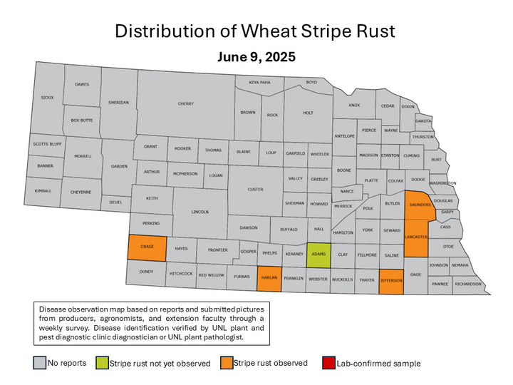 nebraska county map highlighting counties affected by stripe rust as of June 9