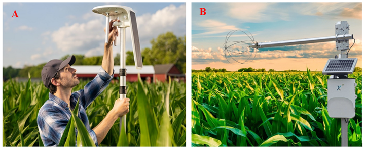 side by side images of many adjusting equipment in the field, and ET sensor hovering above corn in field