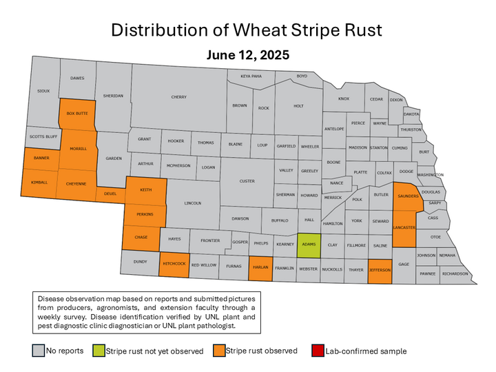 nebraska county map with stripe rust affected counties highlighted in orange