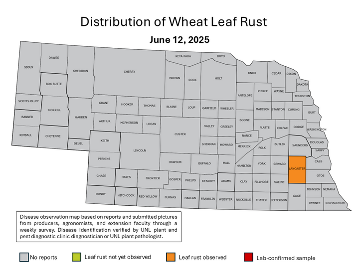 nebraska map with leaf rust infected counties highlighted in orange