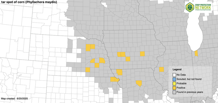 map of central U.S. states with counties affected by tar spot highlighted in yellow