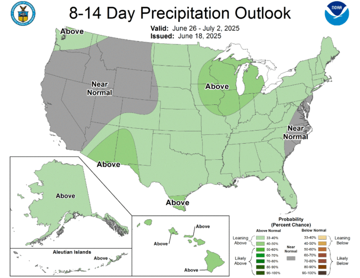 U.S. map showing the 8–14 day precipitation outlook for June 26 to July 2, 2025. Most of the central and eastern U.S. is forecast to receive above-normal rainfall, with the highest probabilities centered over the Midwest. Western states are expected to have near-normal precipitation.
