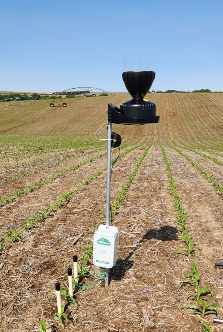 Weather and soil monitoring station in a cornfield with a rain gauge, data logger, and soil moisture sensors used for irrigation management.