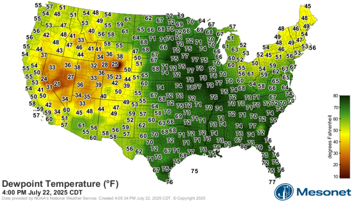 Map of the United States showing dewpoint temperatures in degrees Fahrenheit at 4:00 p.m. CDT on July 22, 2025. Higher dewpoints (in green) are concentrated in the central and eastern U.S., while much lower dewpoints (in yellow to brown) appear across the western states, especially the Southwest. Data provided by NOAA and displayed by Mesonet.