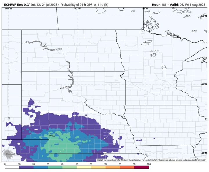 Weather map showing the ECMWF ensemble forecast for the probability of at least 1 inch of precipitation in 24 hours, valid at 06z on Friday, Aug. 1, 2025. The highest probabilities (40–60%) are concentrated in southwest Nebraska and the Oklahoma Panhandle, with lower chances extending into surrounding regions. Map created by WeatherBell using ECMWF data.