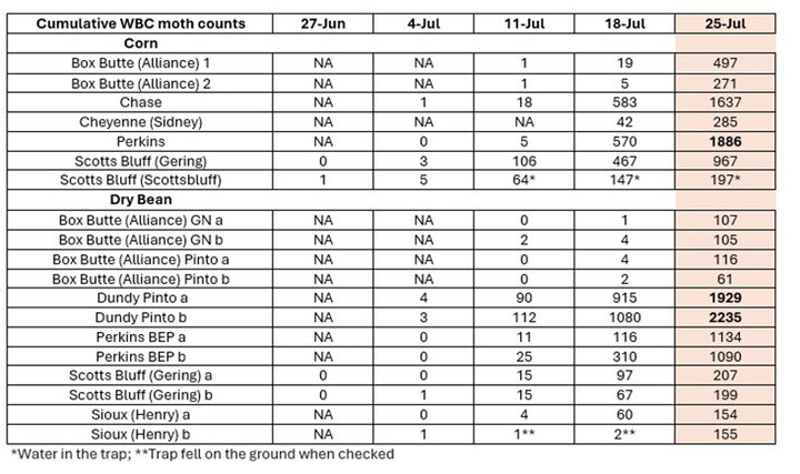 Chart showing western bean cutworm moth trap counts in corn and dry bean fields across five Nebraska Panhandle locations from June 27 to July 18, 2025. Trap counts increased sharply in Gering and Scottsbluff corn and dry bean fields during the week of July 18.         Ask ChatGPT