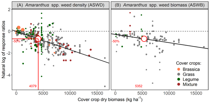Two scatterplots show that as cover crop dry biomass increases, Amaranthus (pigweed) weed density and biomass decrease. Data points represent different cover crop types. A red marker highlights the biomass threshold where pigweed suppression reaches 50% — about 4,079 kg/ha for weed density and 5,352 kg/ha for weed biomass.