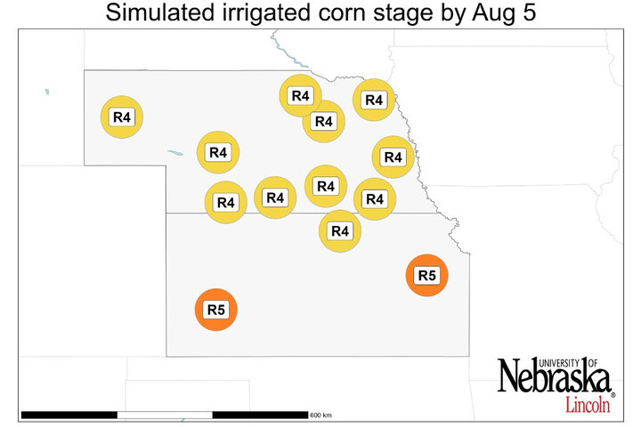Map showing simulated growth stage of irrigated corn by Aug. 5, with most Nebraska locations at R4 and two sites—one in the southwest and one in the southeast—progressed to R5.