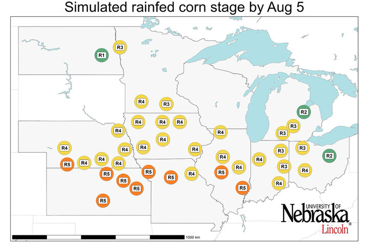 Map showing simulated growth stage of rainfed corn by Aug. 5 across the Corn Belt. Most sites are at R4, with earlier stages in the Great Lakes region and later stages (R5) in southern Nebraska, Kansas, and Missouri.