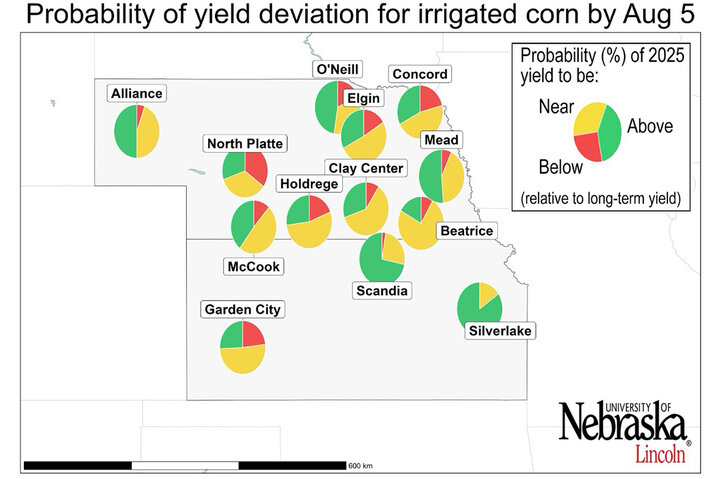 Map showing pie charts of forecasted probabilities for 2025 irrigated corn yields across Nebraska and Kansas. Each chart displays the likelihood of yields being above, near, or below the long-term average.