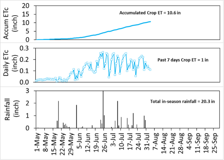 Three-panel chart showing accumulated crop evapotranspiration (ET) at 10.6 inches, past 7 days ET at 1 inch, and total in-season rainfall at 20.3 inches.