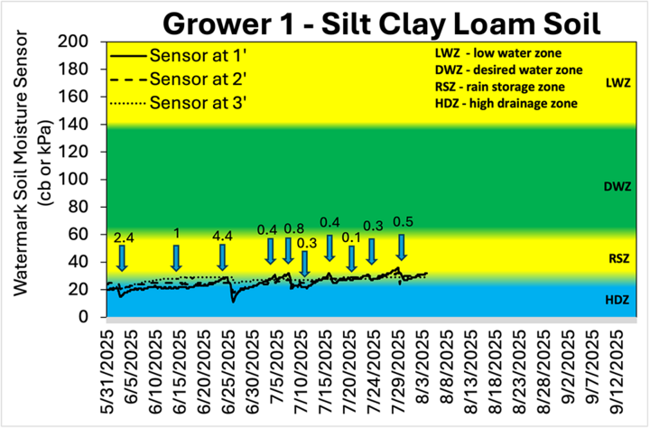 Soil moisture sensor data for Grower 1 on silt clay loam soil showing all depths staying mostly within the rain storage zone from June to early August.