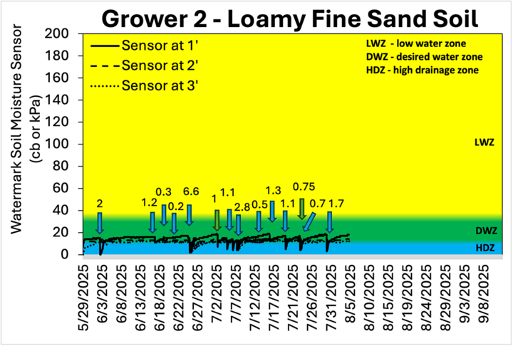 Grower 2 data on soil moisture data for loamy fine sand, showing response to rainfall at three soil depths.
